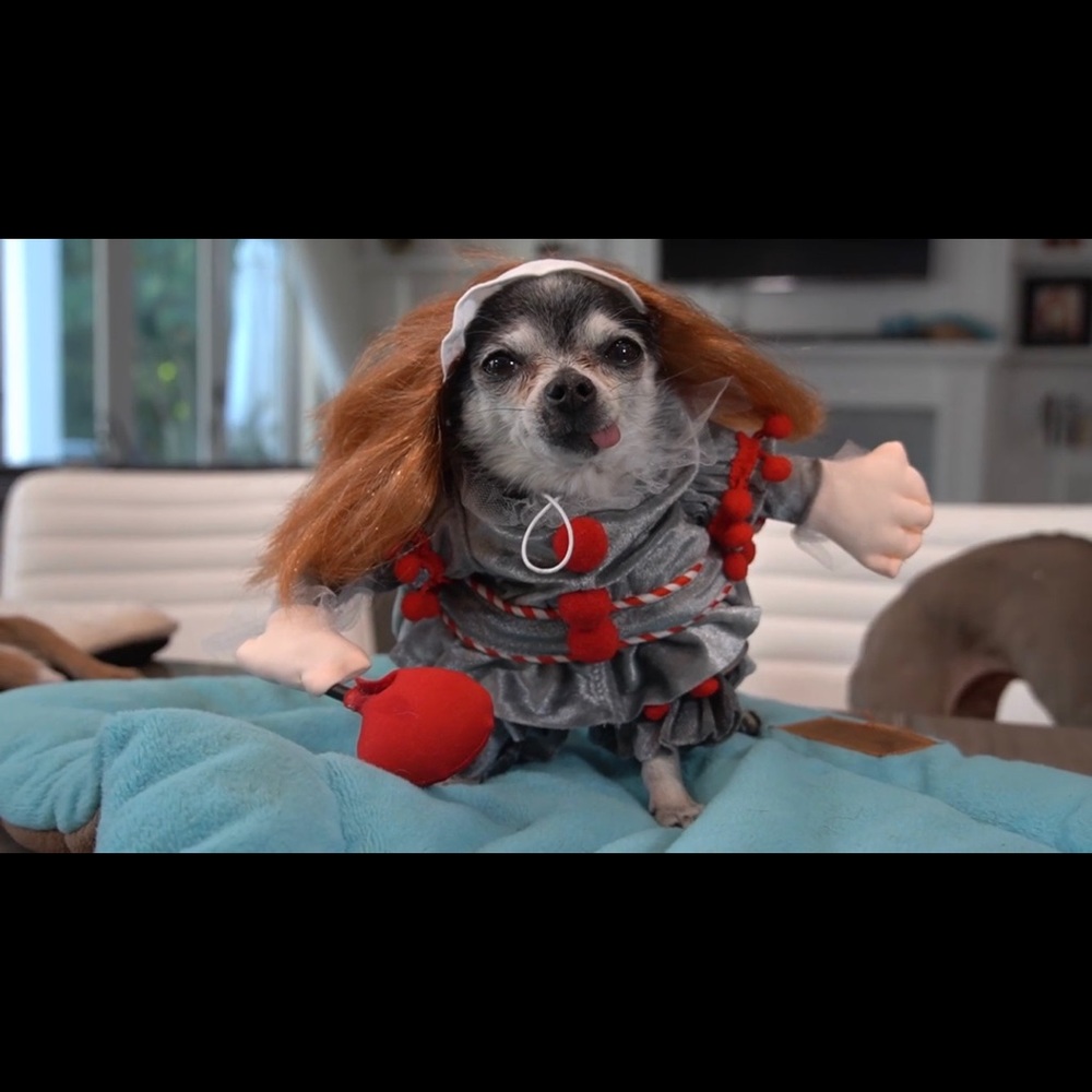 hey. I’m just trying to pay my rent